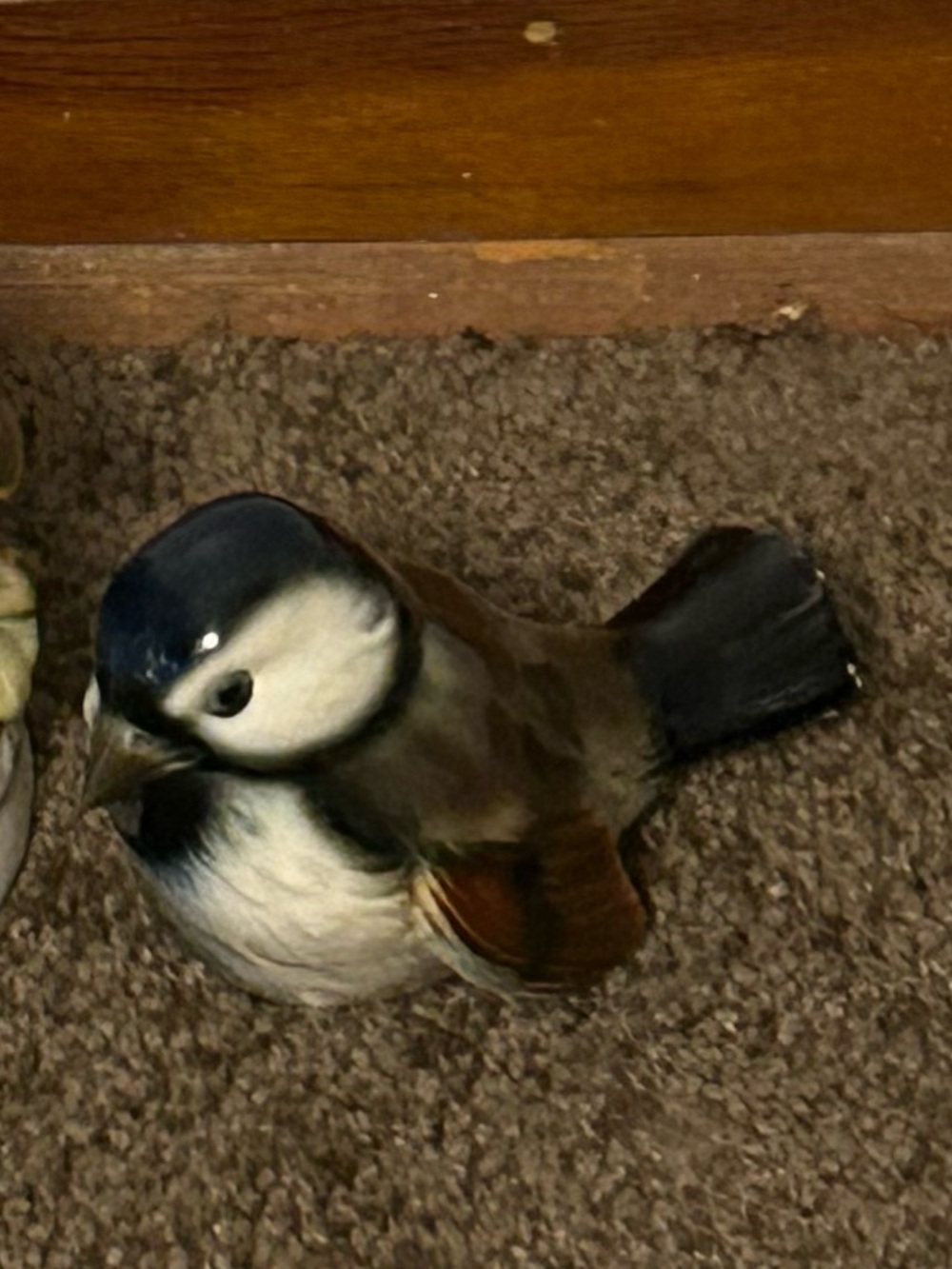 1960s/1970s Vintage Goebel Glazed Glossy Porcelain Sparrow - Picture 2 of 6